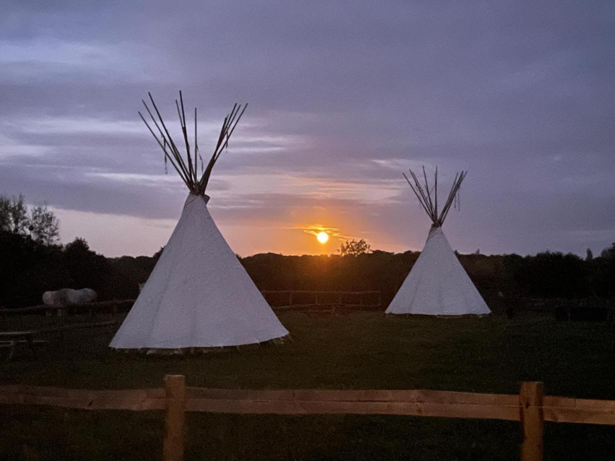 Terra-Tipike, Tipi A La Ferme Entre Terre Et Mer Trébry المظهر الخارجي الصورة